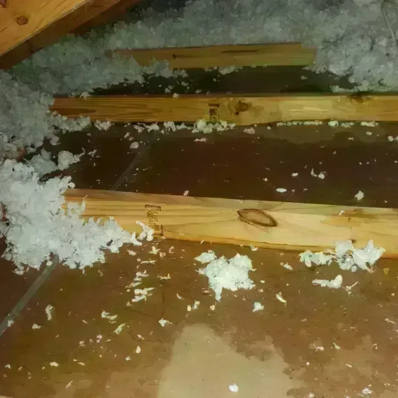 Attic Water Damage in Fairport, NY